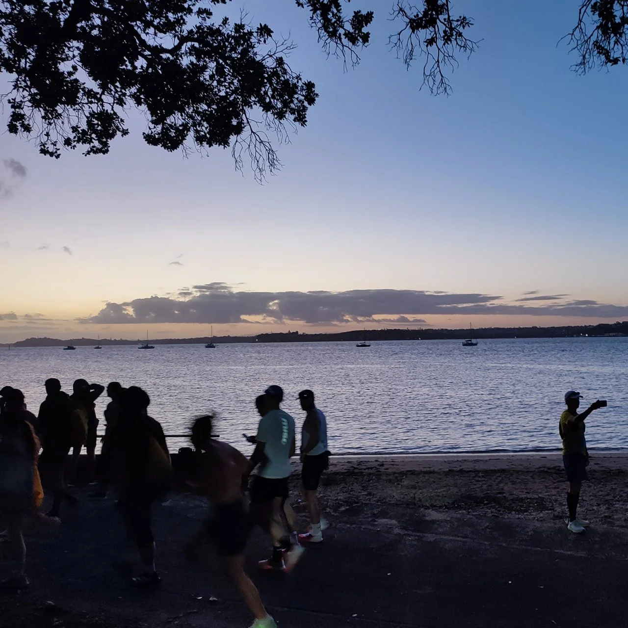auckland-marathon-2025-gallery-sea-view.png